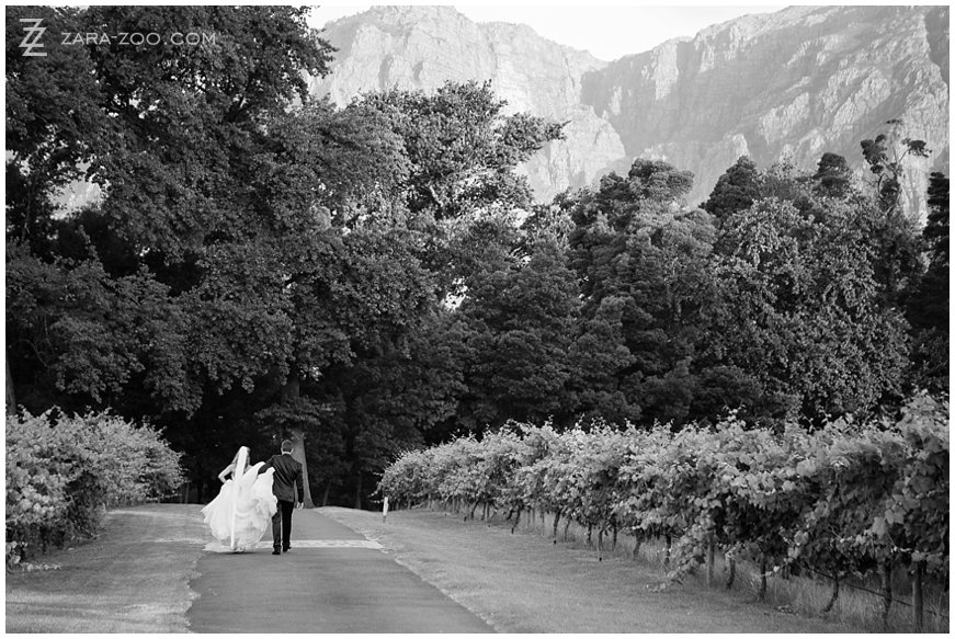 Wedding Venues in Stellenbosch - Molenvliet Wine Estate