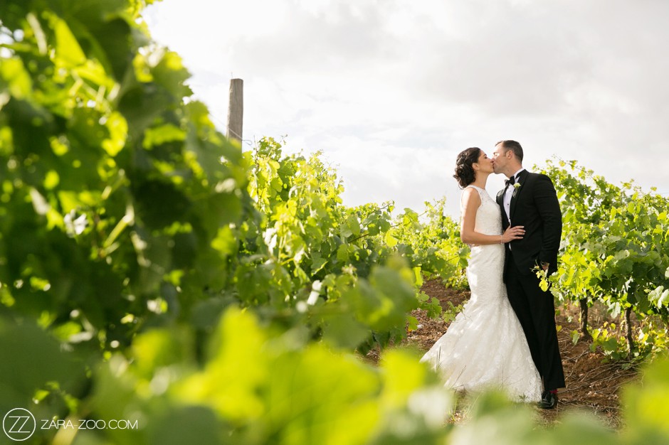 Brenaissance Wine Estate Wedding Photos