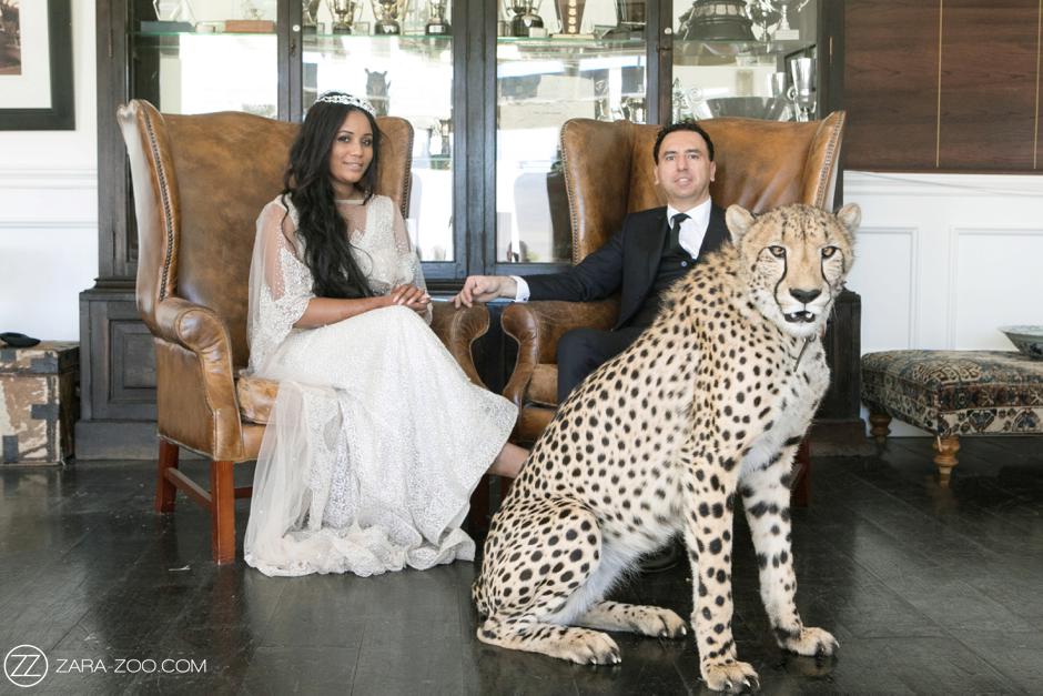 Wedding Photos Africa With Cheetah