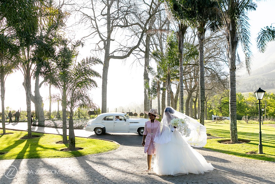 Getting Married in Cape Town - Molenvliet Estate